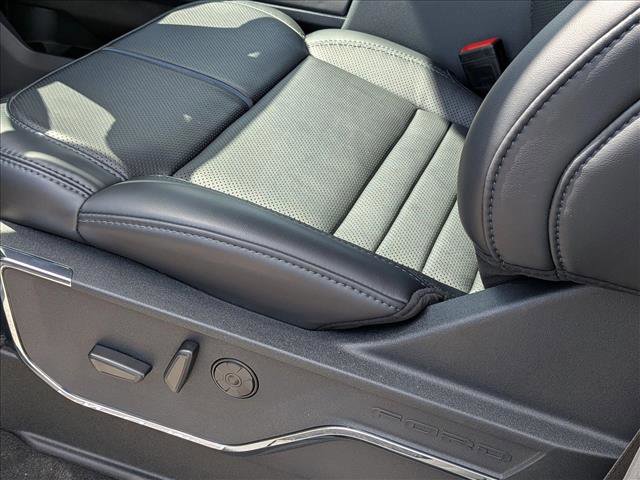 New 2026 Ford F250 Platinum image 4