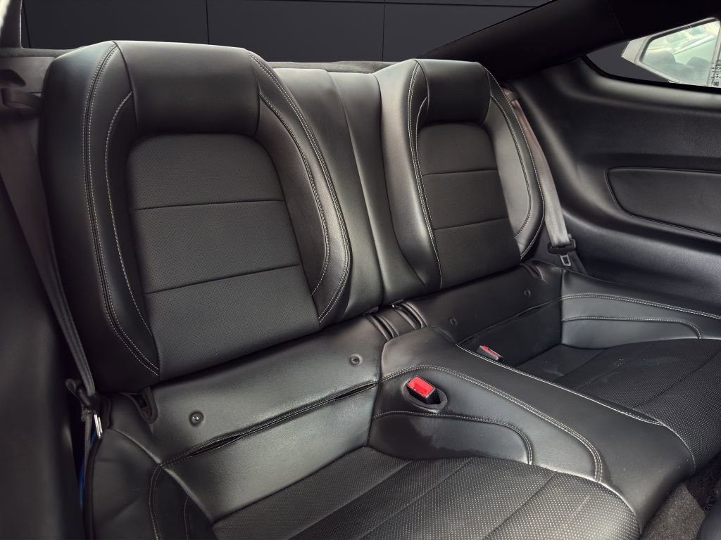 Used 2019 Ford Mustang GT Premium w/ Equipment Group 401A image 19