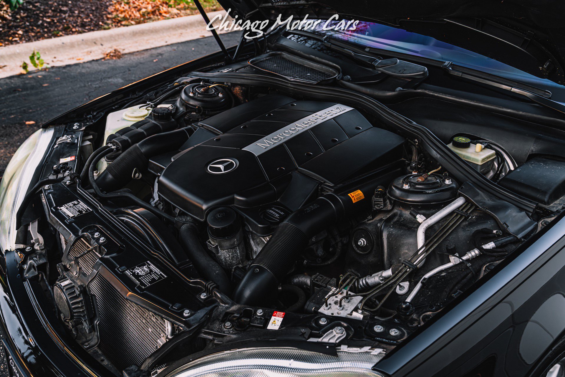 Used 2001 Mercedes-Benz S 500 image 64