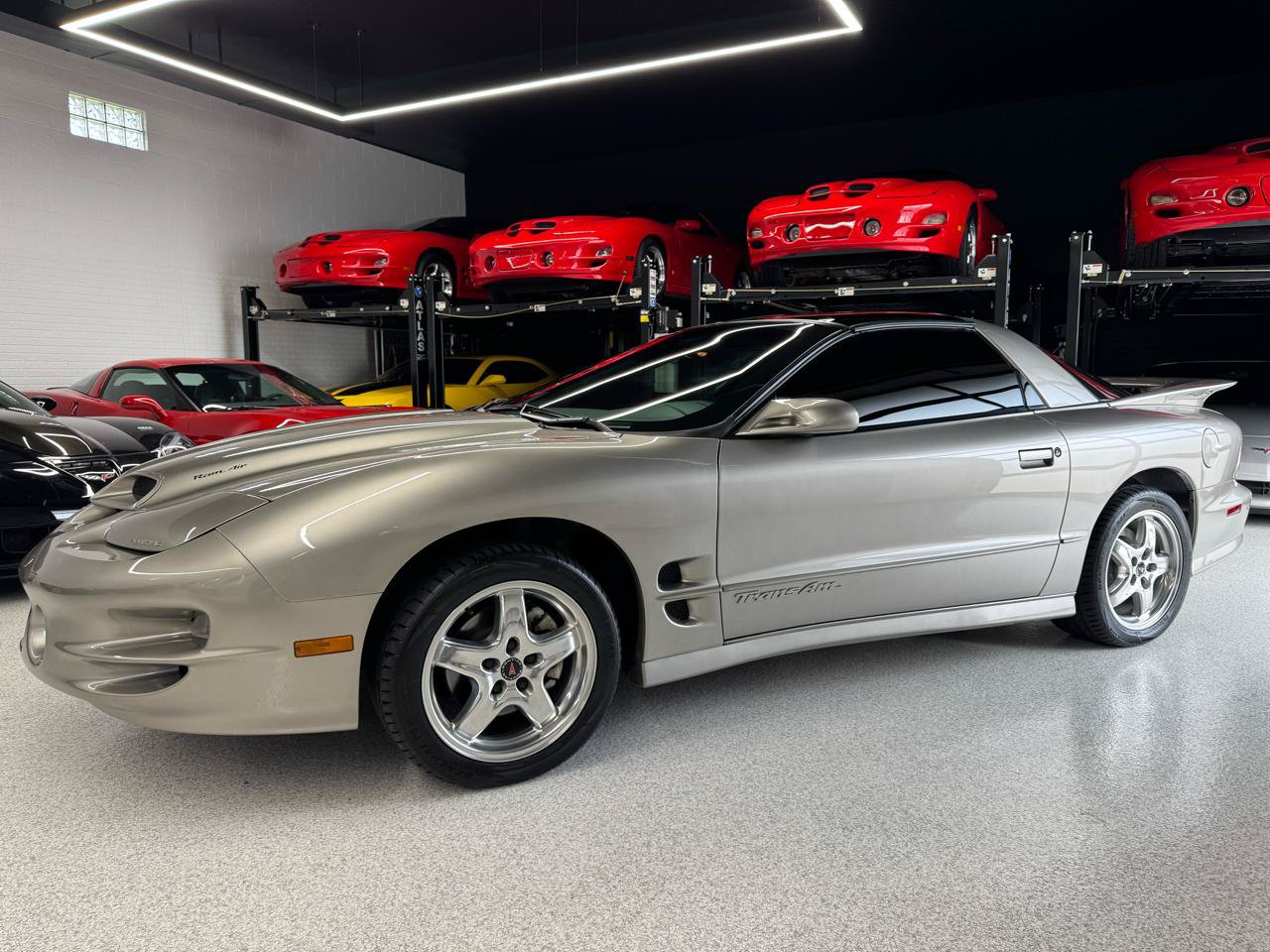 Used 2001 Pontiac Firebird Trans Am w/ SLP Firehawk Pkg RWD image 7