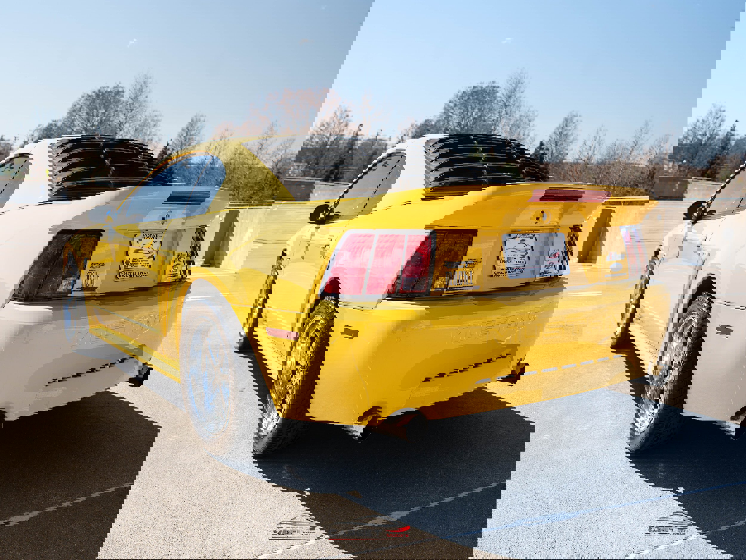 Used 2004 Ford Mustang Mach 1 image 5