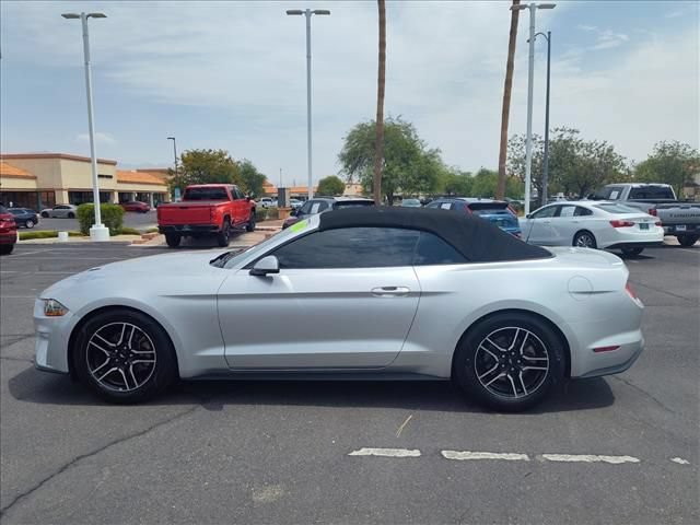 Used 2019 Ford Mustang Premium