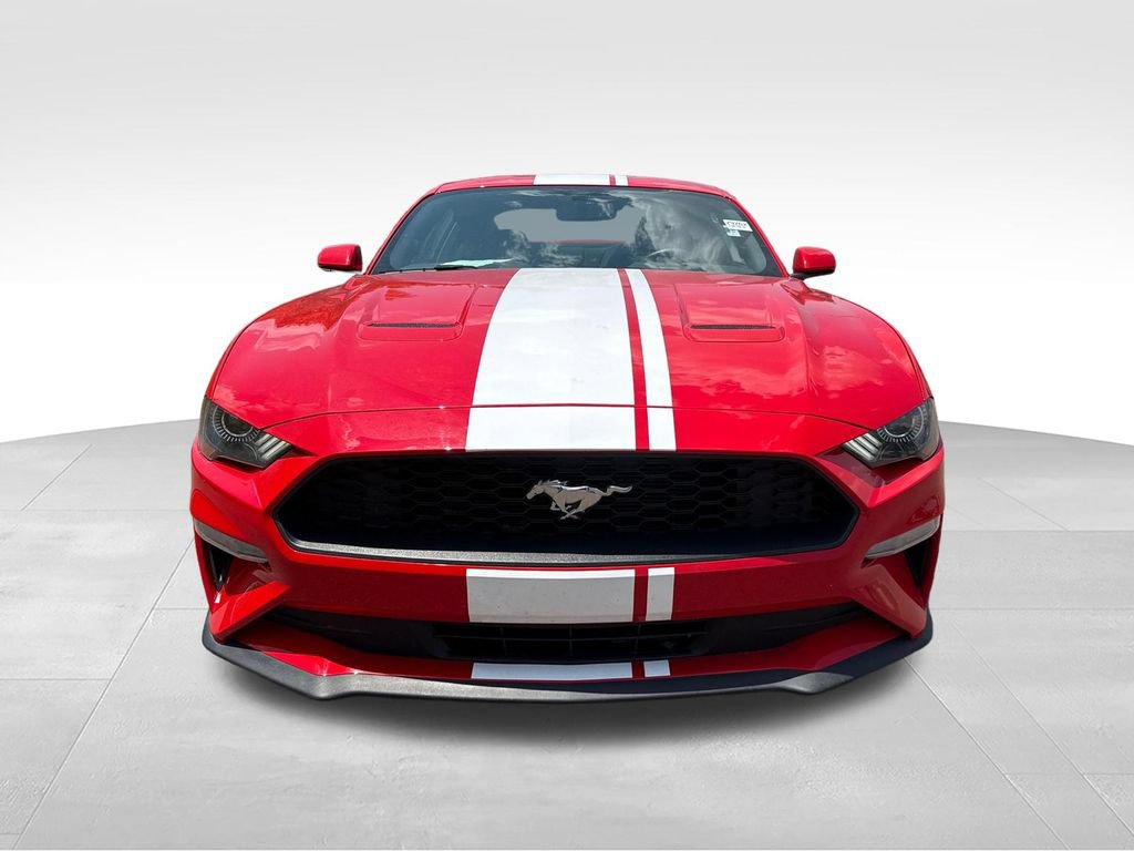 Used 2019 Ford Mustang Coupe w/ Ecoboost Performance Package RWD image 2