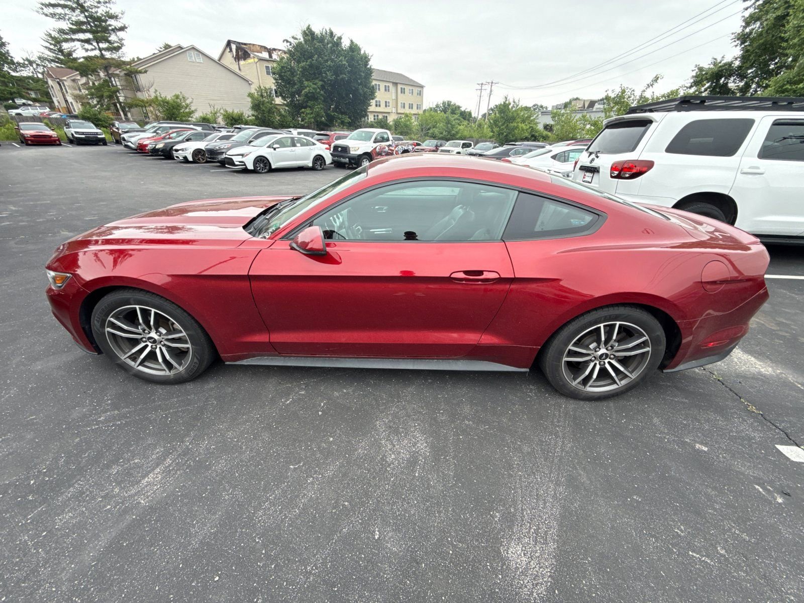 Used 2017 Ford Mustang Premium RWD image 3