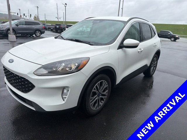 Used 2020 Ford Escape SEL video 1