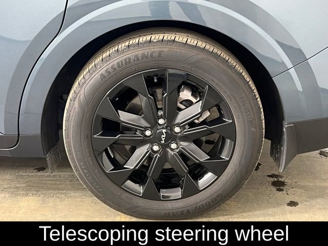 Used 2024 Kia Carnival SX Prestige image 34