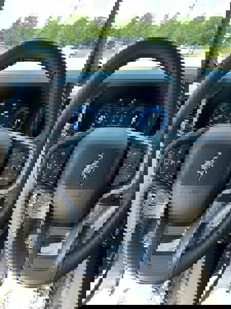 New 2025 Ford Bronco Badlands image 16