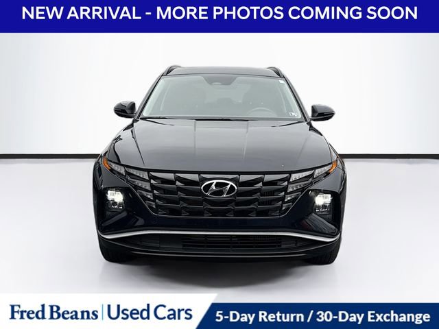 Used 2023 Hyundai Tucson Blue image 2