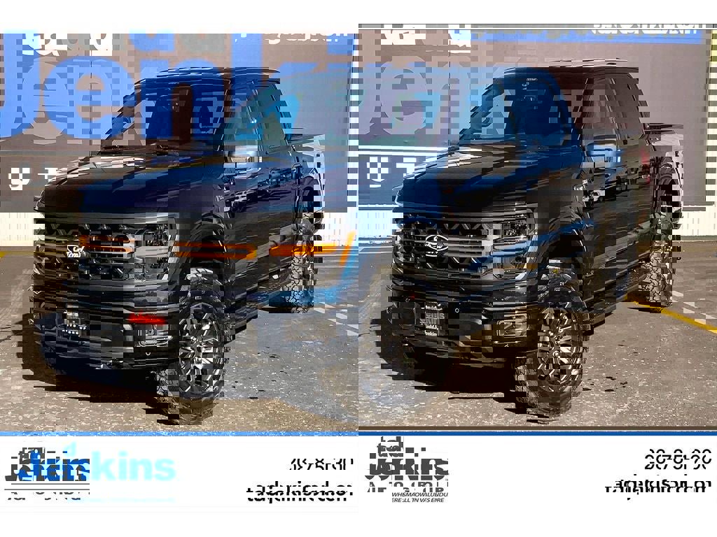 New 2025 Ford F150 Tremor w/ Bed Utility Package image 16