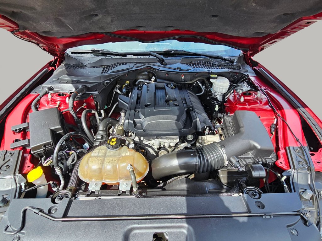 Used 2015 Ford Mustang Premium w/ Equipment Group 201A RWD image 19