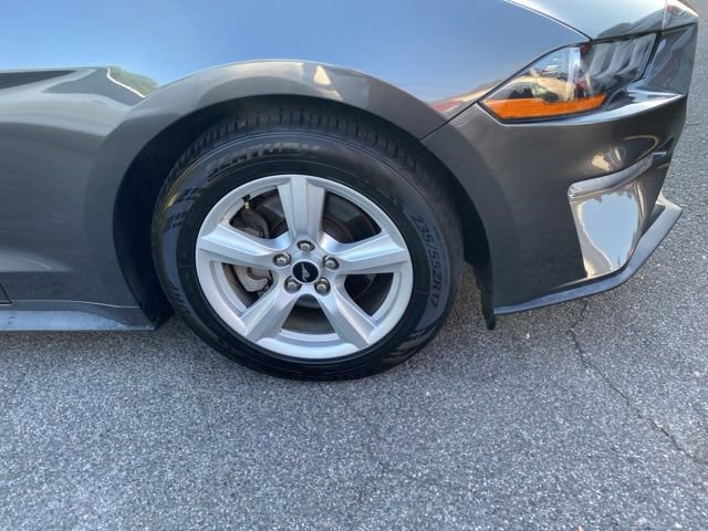 Used 2019 Ford Mustang Coupe RWD image 23