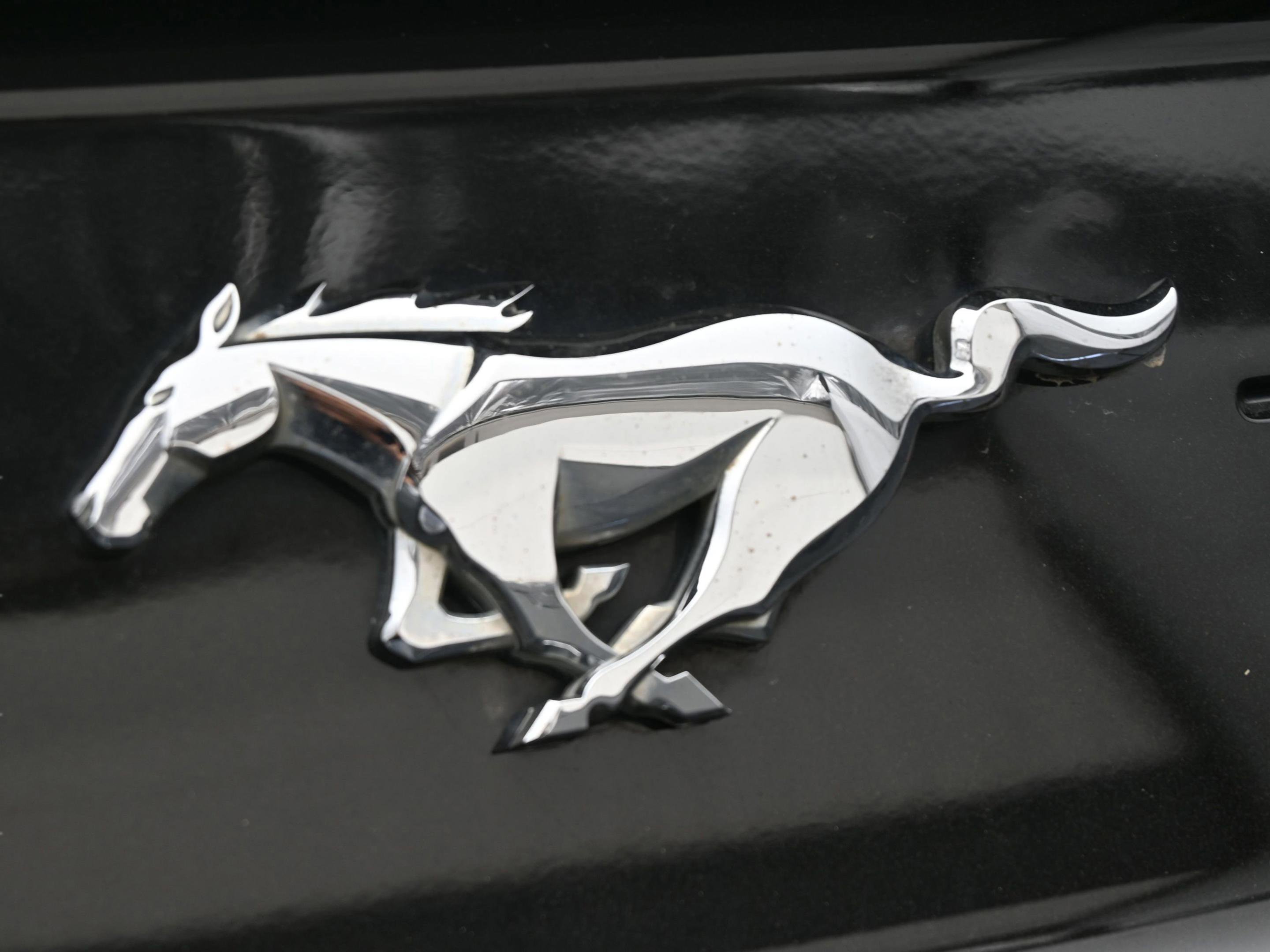 Used 2022 Ford Mustang Premium w/ Equipment Group 201A image 35