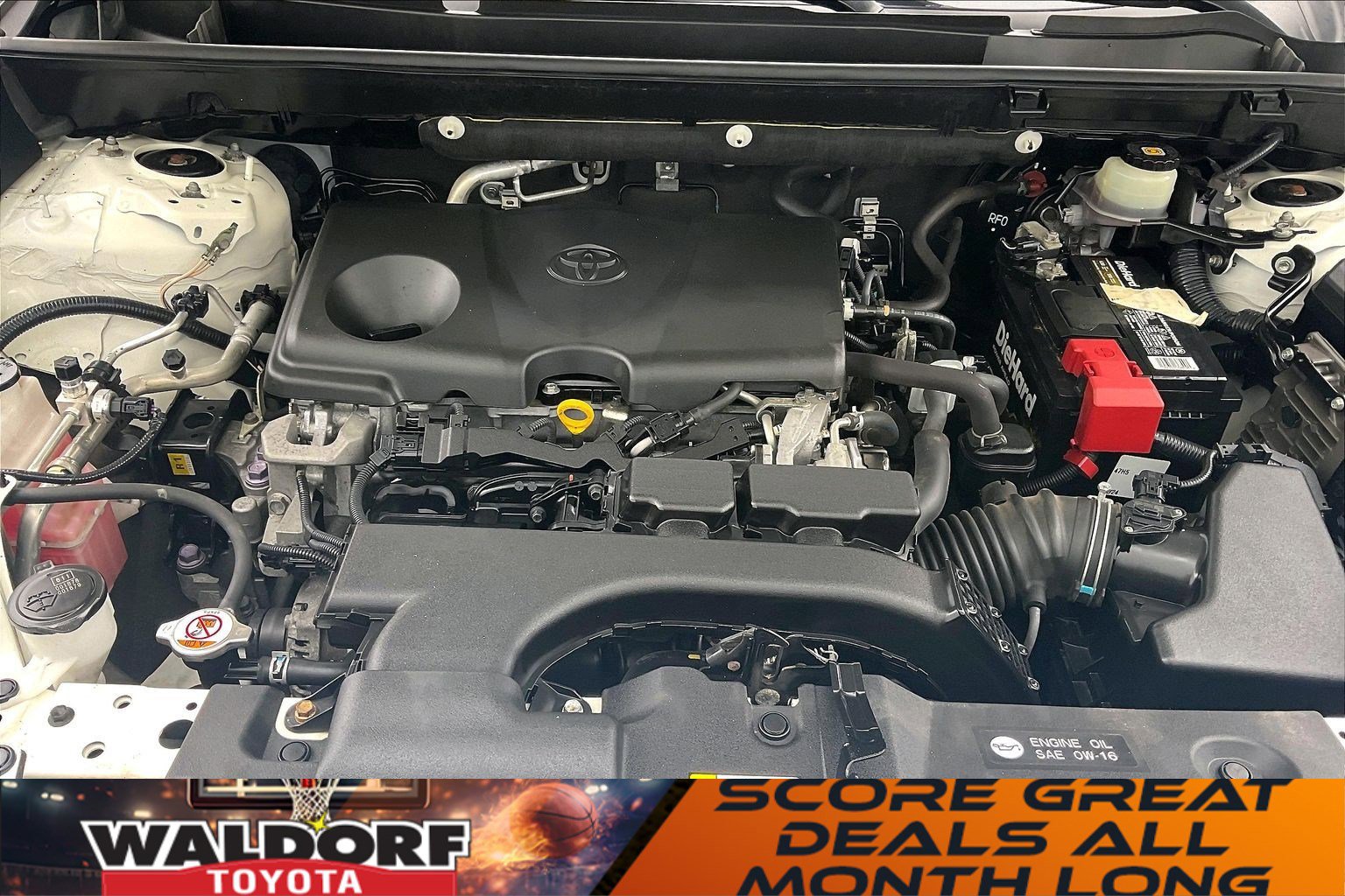 Used 2019 Toyota RAV4 LE w/ All Weather Liner Package image 13