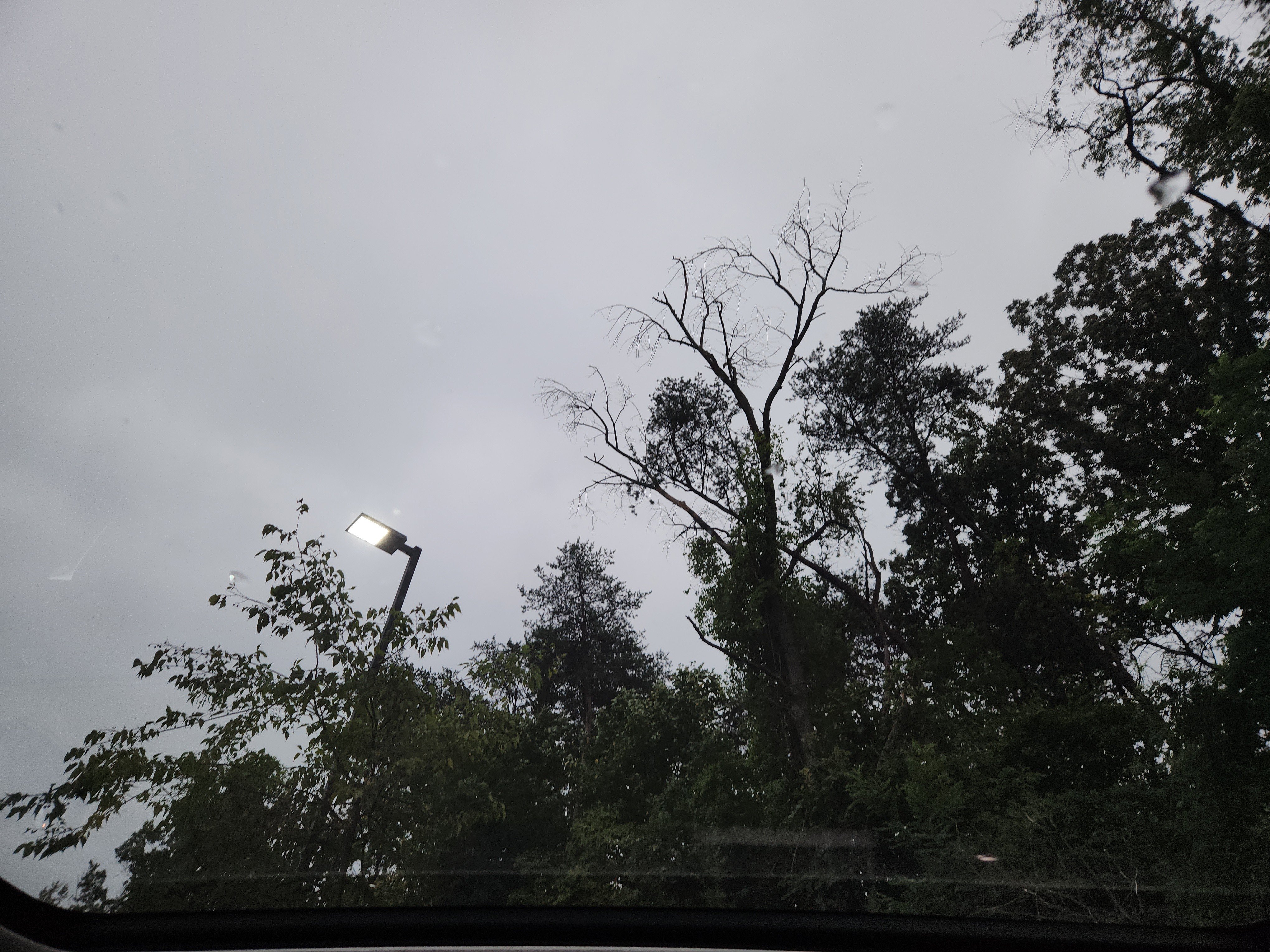 Used 2025 Land Rover Discovery Sport S image 27