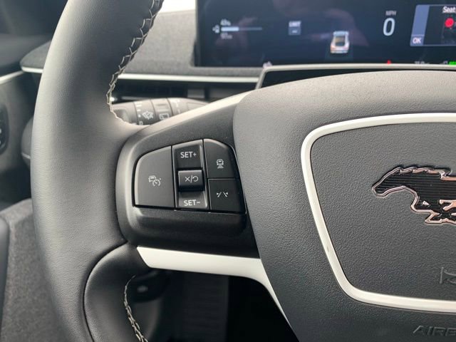 New 2025 Ford Mustang Mach-E GT w/ Interior Protection Package image 23