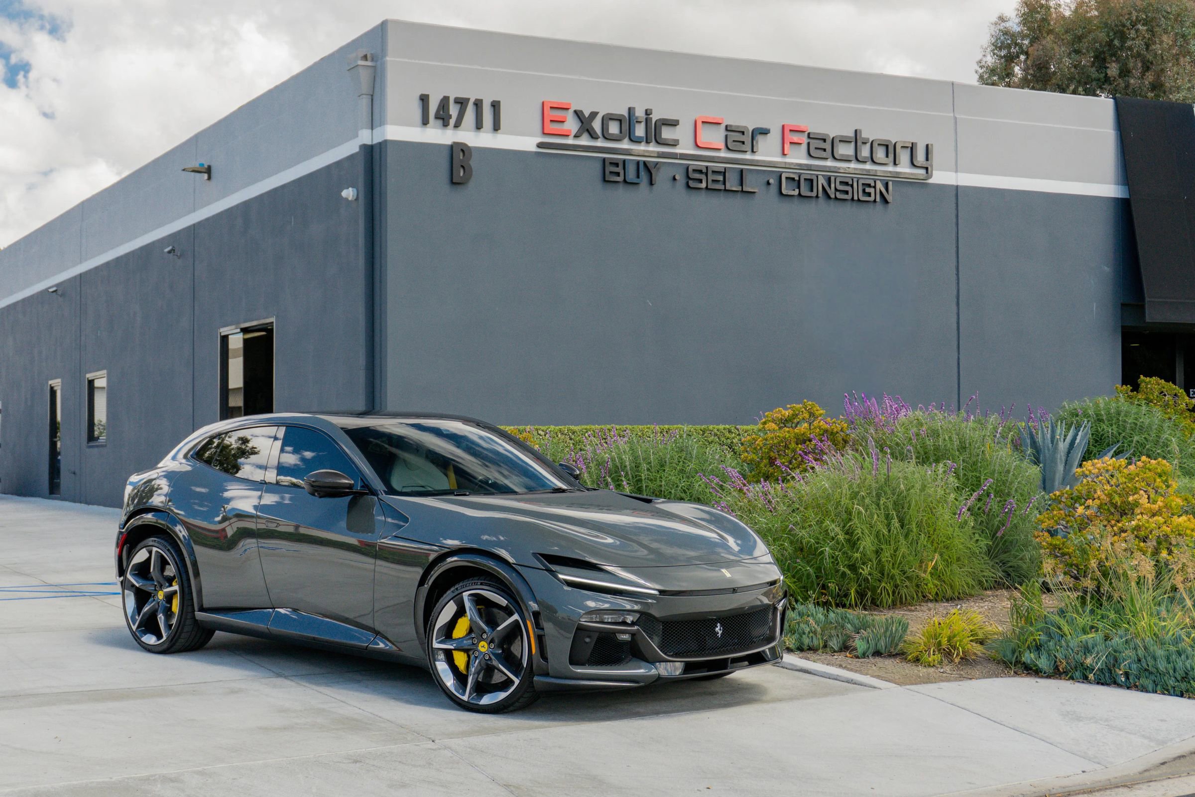 Used 2024 Ferrari Purosangue AWD/4WD image 1