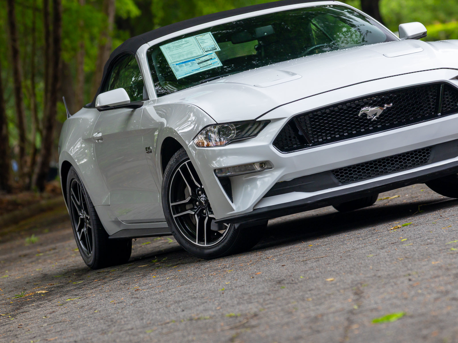 Used 2019 Ford Mustang GT Premium w/ Equipment Group 401A RWD image 23
