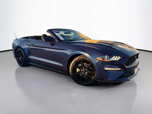 Used 2019 Ford Mustang Convertible w/ Equipment Group 101A RWD image 2