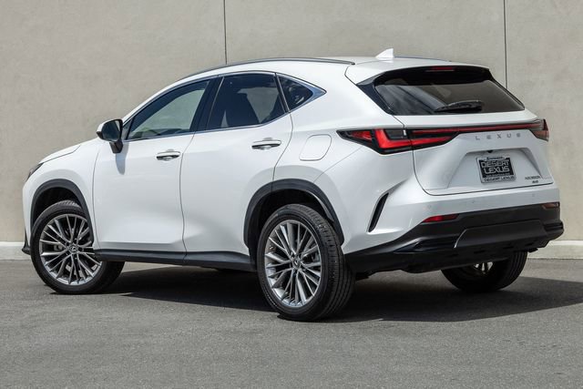 Used 2023 Lexus NX 350h AWD w/ Cold Area Package image 3