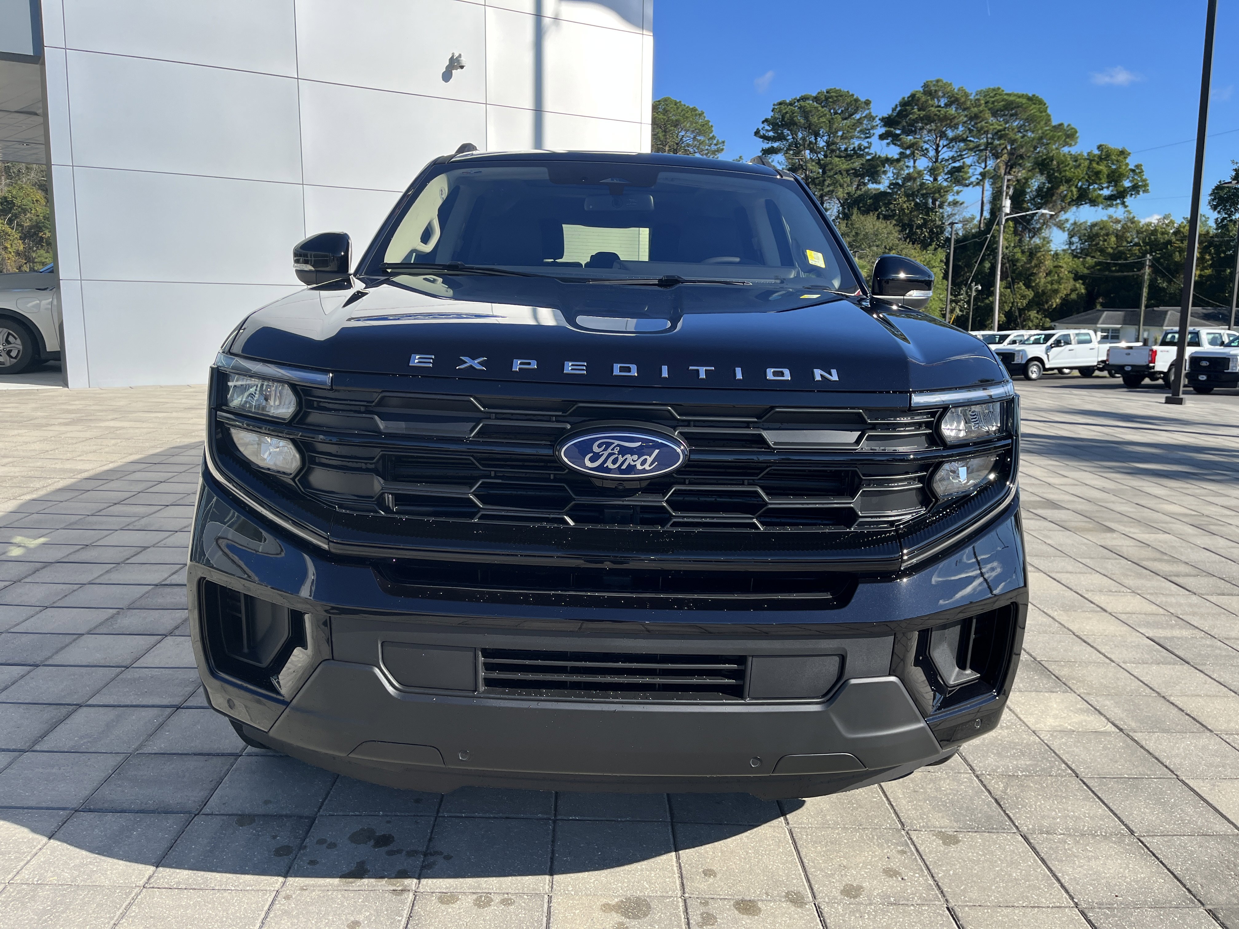 New 2025 Ford Expedition Active image 9