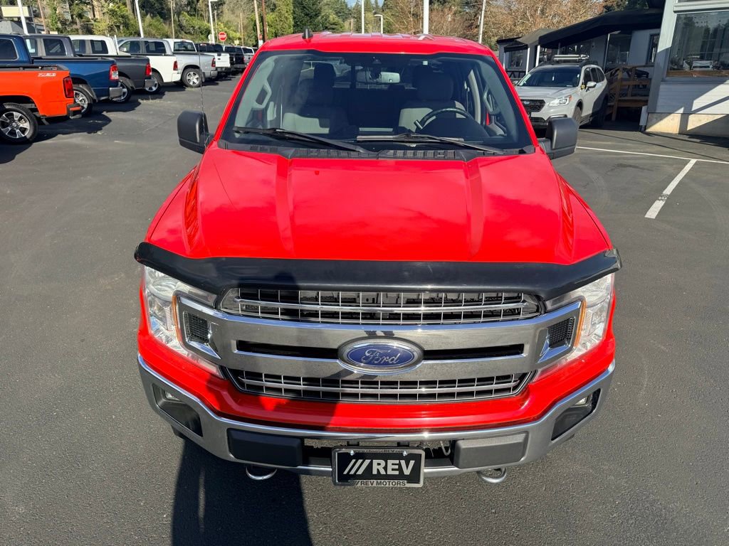 Used 2019 Ford F150 XLT w/ Equipment Group 302A Luxury image 9