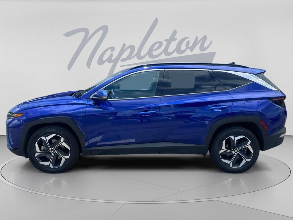 Used 2024 Hyundai Tucson Limited AWD/4WD image 6