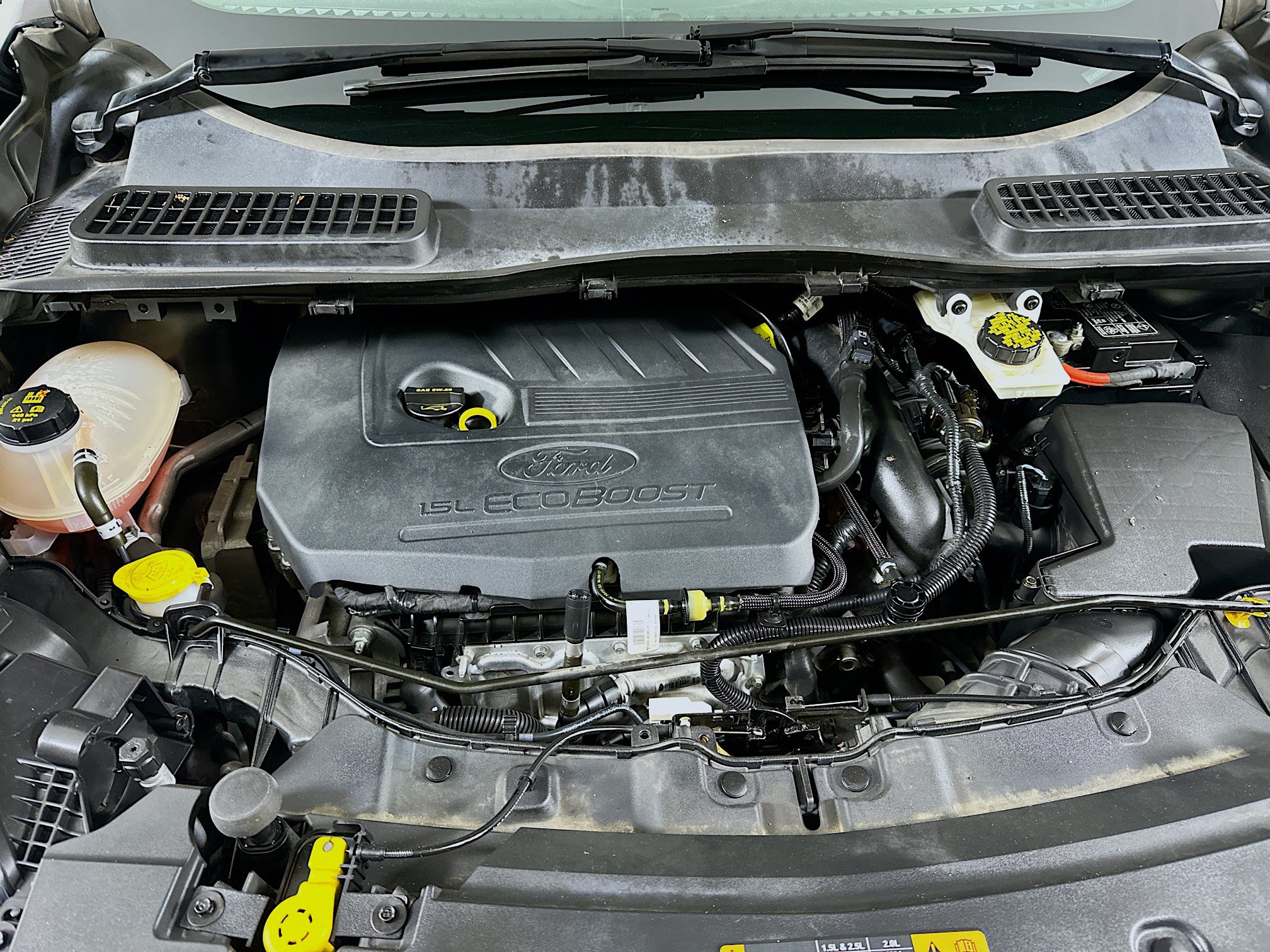 Used 2017 Ford Escape SE FWD image 31