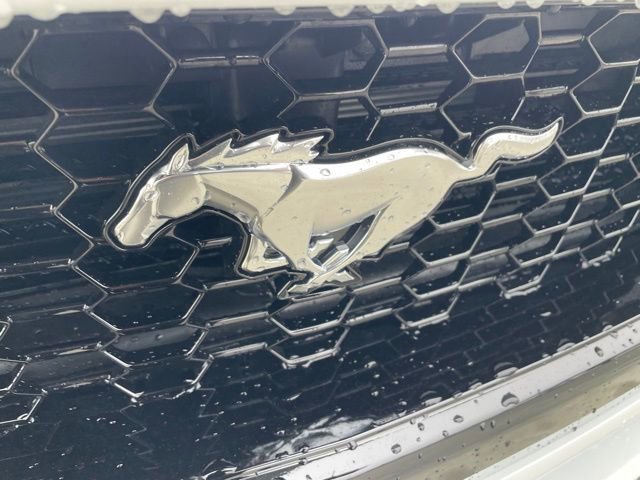 New 2026 Ford Mustang GT image 27