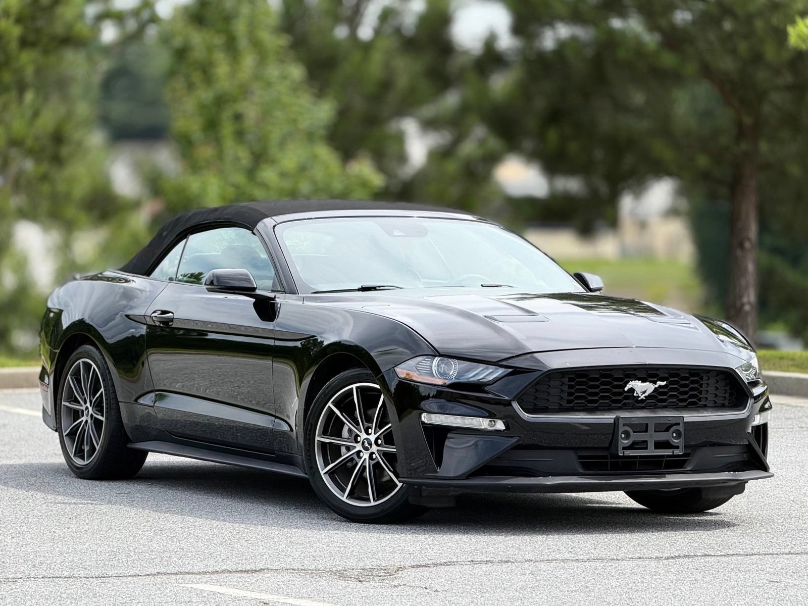 Used 2019 Ford Mustang Premium w/ Equipment Group 201A RWD image 13
