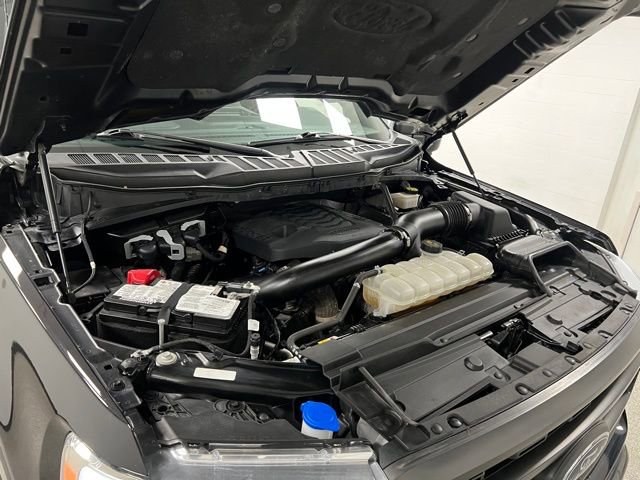 Used 2023 Ford F150 XLT w/ Equipment Group 302A High image 61