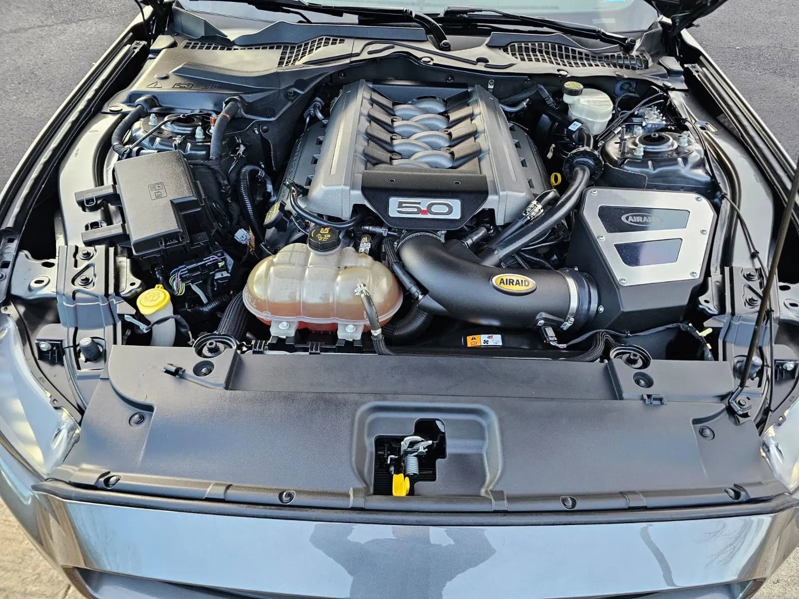 Used 2015 Ford Mustang GT w/ Enhanced Security Package image 14