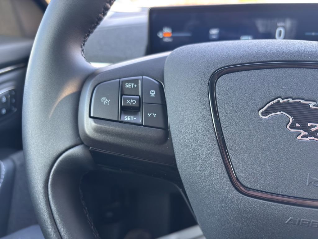 New 2025 Ford Mustang Mach-E Premium w/ Interior Protection Package image 26