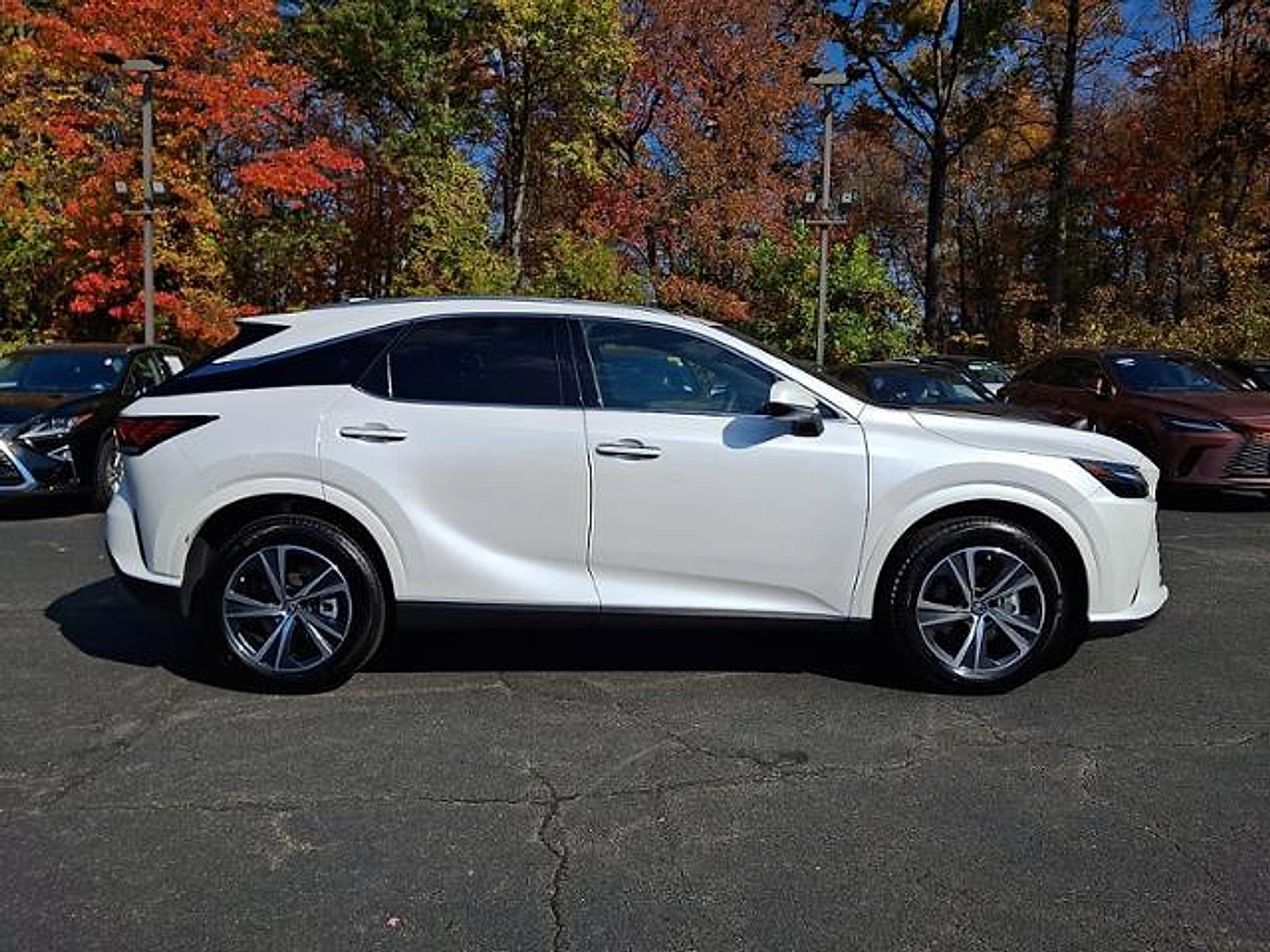 Used 2026 Lexus RX 350h AWD/4WD image 7