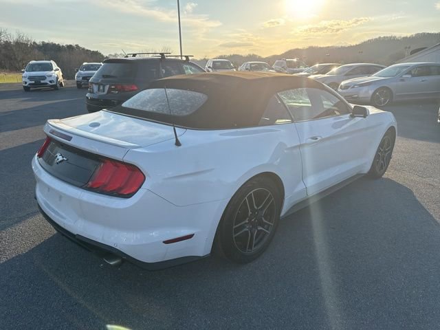 Used 2018 Ford Mustang Premium image 8