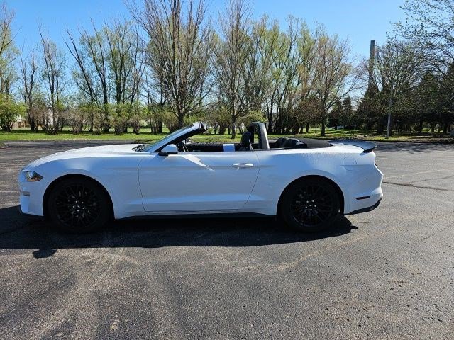 Used 2019 Ford Mustang Premium RWD image 19