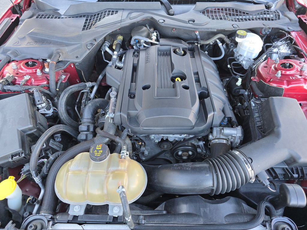 Used 2019 Ford Mustang Coupe image 23