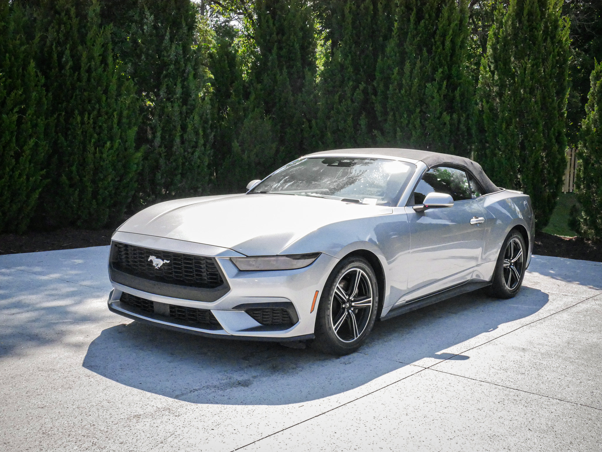Used 2025 Ford Mustang Premium RWD image 5