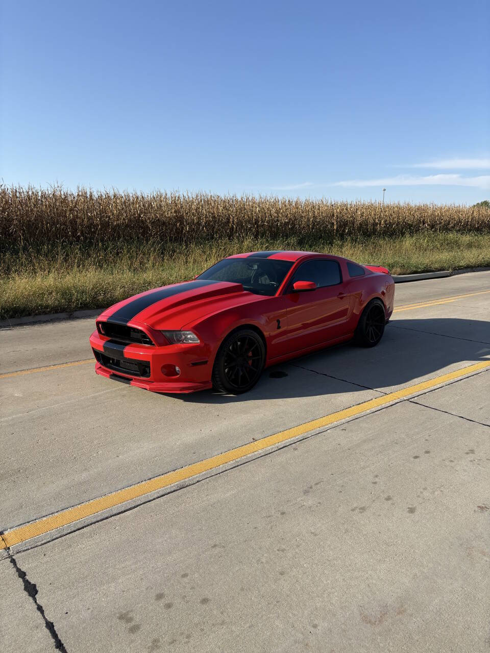 Used 2014 Ford Mustang Shelby GT500 w/ Equipment Group 821A image 6