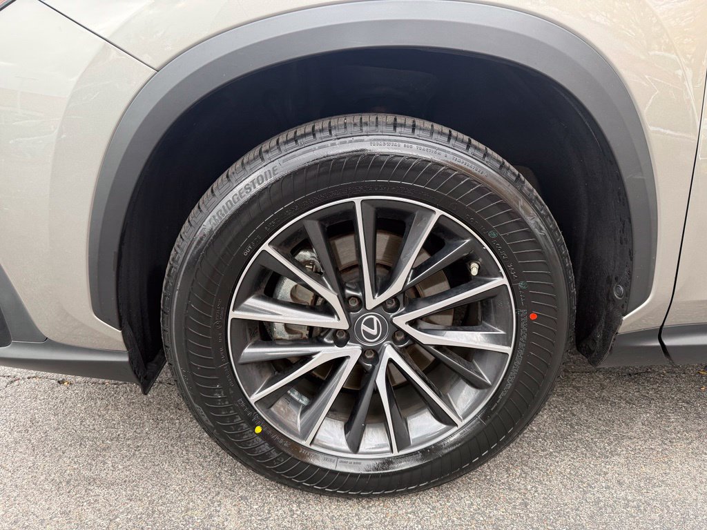 Used 2023 Lexus NX 250 AWD w/ Cold Area Package image 25