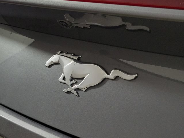 Used 2024 Ford Mustang Premium RWD image 5
