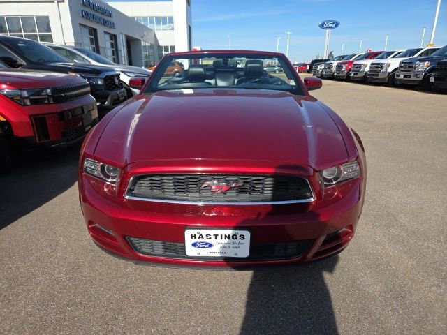 Used 2014 Ford Mustang Premium w/ Equipment Group 201A image 7