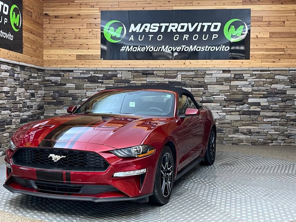 Used 2019 Ford Mustang Convertible w/ Equipment Group 101A RWD image 5