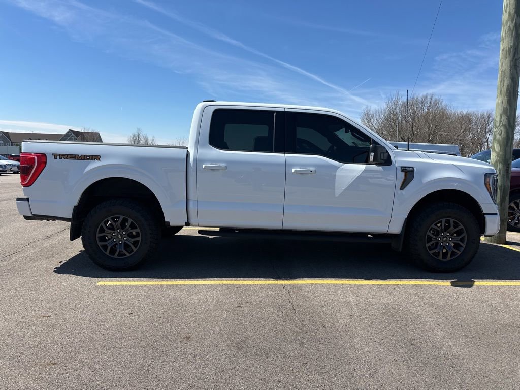 Used 2023 Ford F150 Tremor image 6