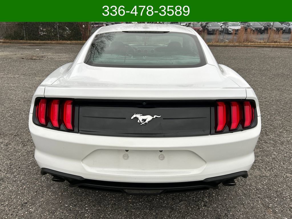 Used 2021 Ford Mustang EcoBoost image 4