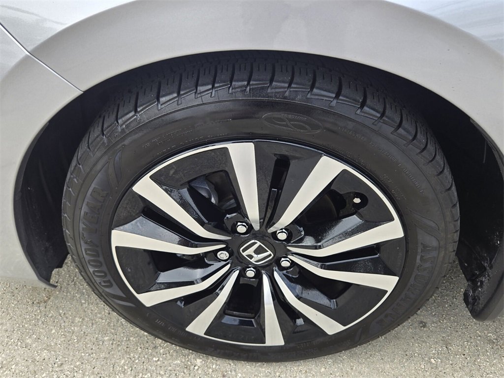 Certified 2024 Honda Civic EX-L image 10