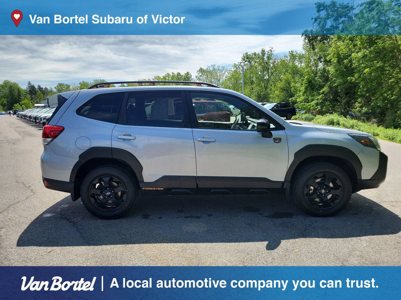 Used 2024 Subaru Forester Wilderness w/ Wilderness Package AWD/4WD image 6