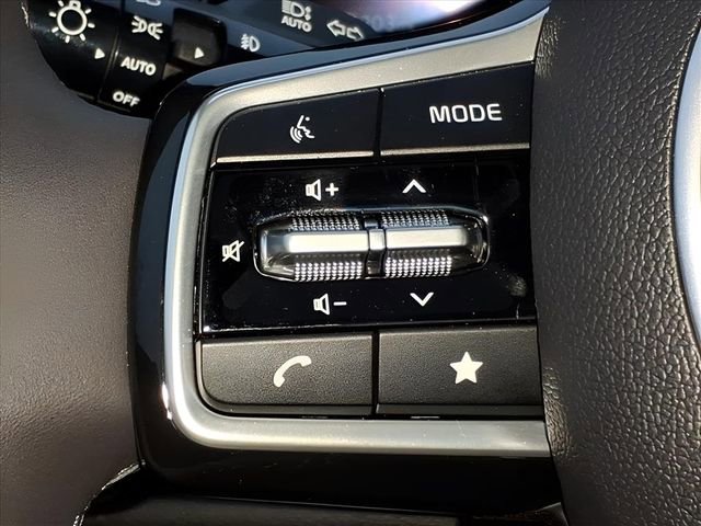 Used 2025 Kia Carnival SX Prestige image 29