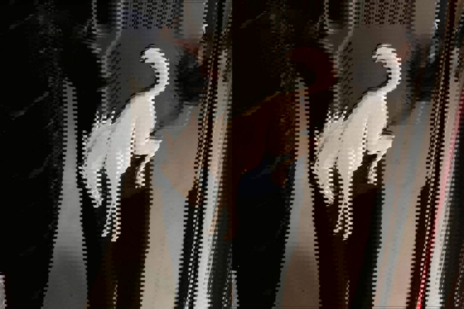 Used 2022 Ford Bronco Wildtrak image 9