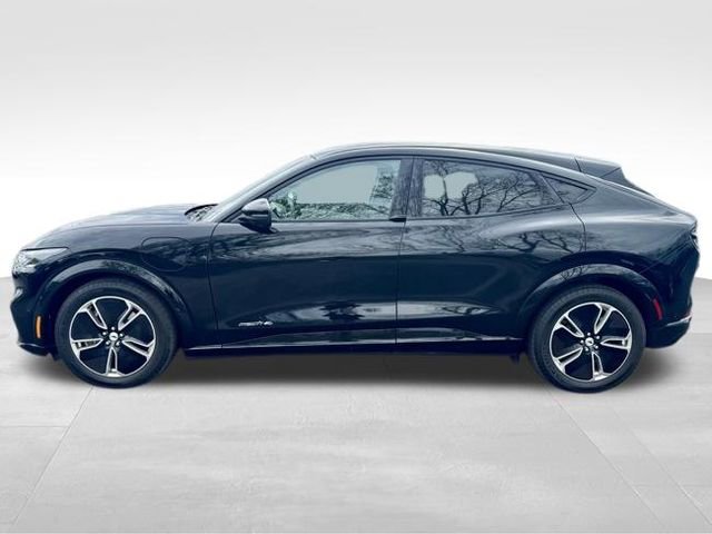 Used 2023 Ford Mustang Mach-E Premium AWD/4WD image 5