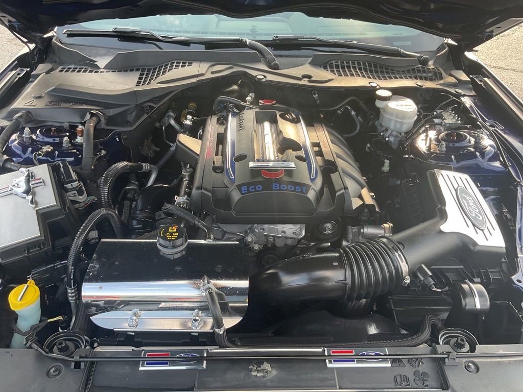 Used 2019 Ford Mustang Premium w/ Equipment Group 201A image 23